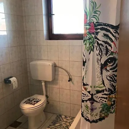 919a ブロダリツァ